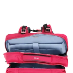 Cartable à Roulettes Delsey Back To School 43 Cm - 2 Roues -Promos Valise Raffine Magasin cartables scolaires delsey 789232z