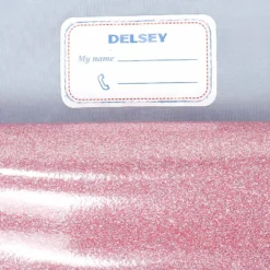 Cartable à Roulettes Delsey Back To School 43 Cm - 2 Roues -Promos Valise Raffine Magasin cartables scolaires delsey 789246z