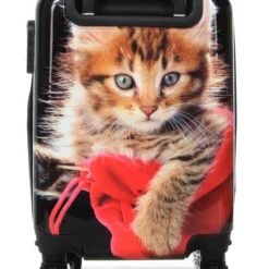 Ensemble 4 Valises Madisson Chaton -Promos Valise Raffine Magasin ensemble valise madisson 842955z