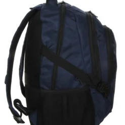 Sac à Dos Delsey Element Navigator -Promos Valise Raffine Magasin sac dos delsey 759039z